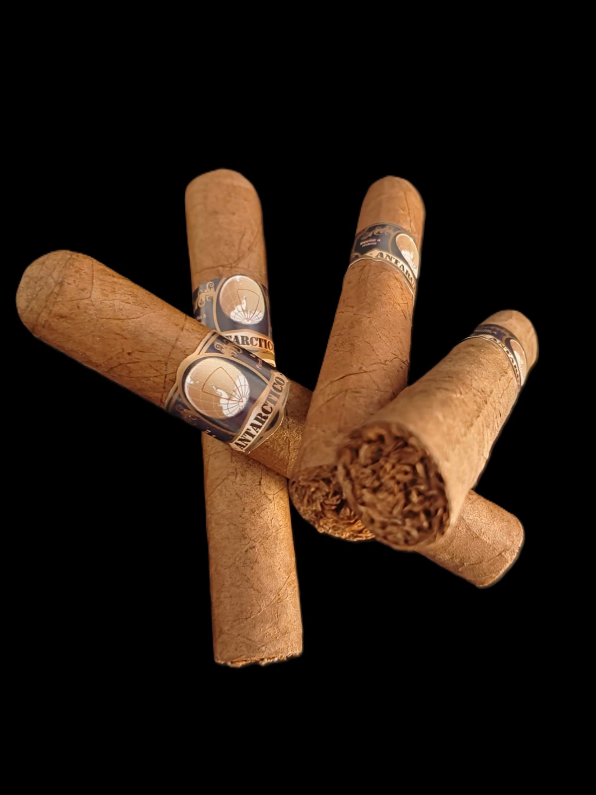 Puros Antarctico Dominicana Robusto Prensado