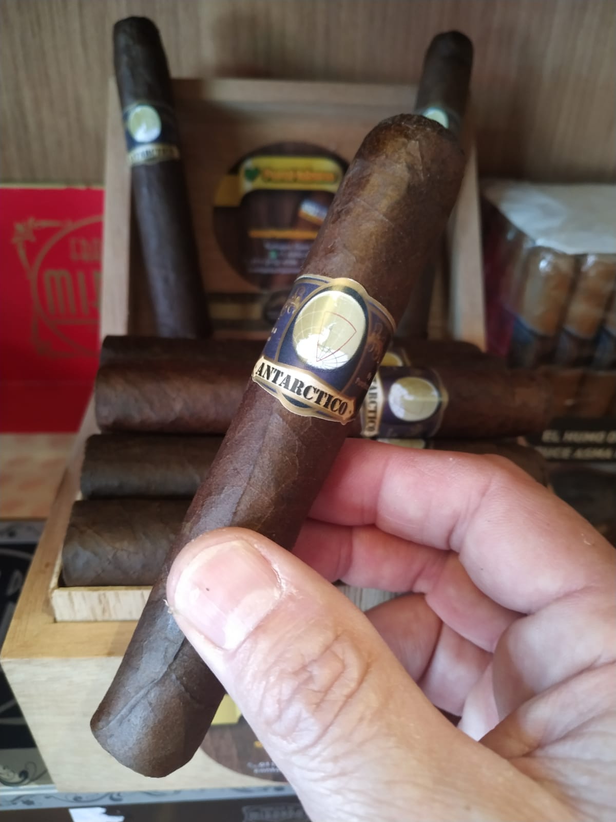 Puros Antarctico Maduro